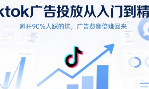Tiktok广告投放从入门到精通：避开90%人踩的坑，广告费翻倍赚回来
