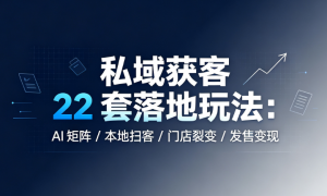 私域获客 22 套落地玩法：AI 矩阵 / 本地扫客 / 门店裂变 / 发售变现