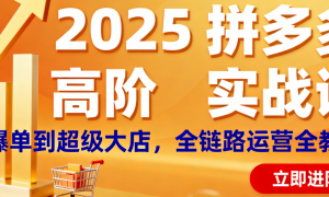 2025 拼多多高阶实战课：从爆单到超级大店，全链路运营全教会