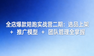 全店爆款陪跑实战营二期：选品上架 + 推广模型 + 团队管理全掌握