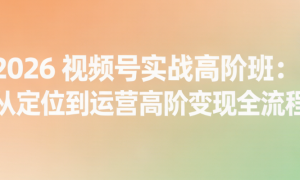 2026 视频号实战高阶班：从定位到运营高阶变现全流程