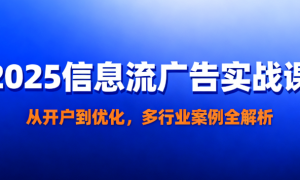 2025 信息流广告实战课：从开户到优化，多行业案例全解析