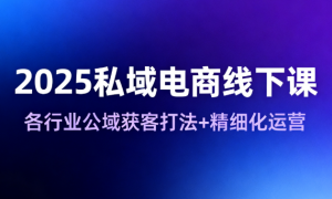 2025私域电商线下课 各行业公域获客打法+精细化运营