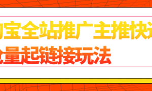 淘宝全站推广主推快速抢量起链接玩法