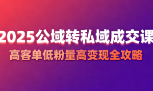 2025 公域转私域成交课：高客单低粉量高变现全攻略
