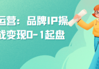 秒懂代运营：品牌IP操盘手实战变现0-1起盘和落地
