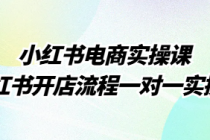 小红书电商实操课 小红书开店流程一对一实操课