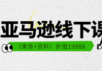 亚马逊线下课（录音+资料）价值19888