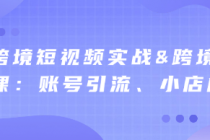 Tk跨境短视频实战&跨境店运营课：账号引流、小店成交