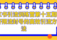 小红书引流训练营第十五期 避开限流封号的高效引流方法