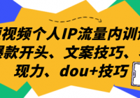 短视频个人IP流量内训课 爆款开头、文案技巧、表现力、dou+技巧