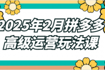 2025年2月拼多多高级运营玩法课