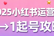 2025 小红书运营课：从 0 到 1 做爆文，轻松起号