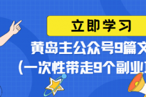 黄岛主公众号9篇文章(一次性带走9个副业项目)