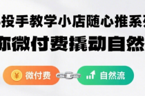 2025投手教学小店随心推系列课程：带你微付费撬动自然流