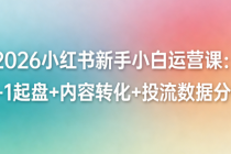 2026 小红书新手小白运营课：0-1 起盘 + 内容转化 + 投流数据分析