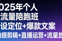 2025年个人IP流量陪跑班 人设定位+爆款文案+拍摄剪辑+直播运营+流量放大