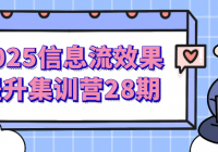 2025信息流效果提升集训营28期