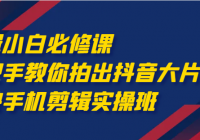 剪辑小白必修课：手把手教你拍出抖音大片 剪映手机剪辑实操班