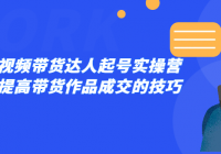 零基础短视频带货达人起号实操营 稳定出单提高带货作品成交的技巧