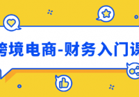 跨境电商-财务入门课：7大技术+5大技能（14节课）