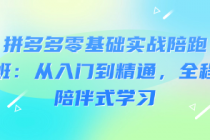 拼多多零基础实战陪跑班：从入门到精通，全程陪伴式学习