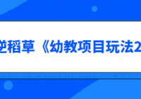 叛逆稻草《幼教项目玩法2.0》