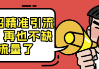 11招精准引流术：再也不缺流量了