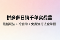 拼多多日销千单实战营：最新玩法 + 冷启动 + 免费流打法全掌握