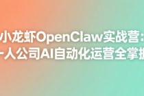小龙虾OpenClaw实战营：一人公司AI自动化运营全掌握
