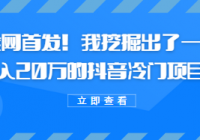 某公众号付费文章《全网首发！我挖掘出了一个月入20万的...