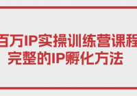百万IP实操训练营课程，完整的IP孵化方法