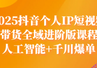 2025抖音个人IP短视频带货全域进阶版课程 人工智能+千川爆单