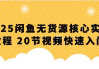 2025闲鱼无货源核心实战教程 20节视频快速入门