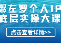 粥左罗个人IP底层实操大课