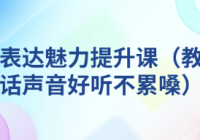 个人表达魅力提升课（教你说话声音好听不累嗓）