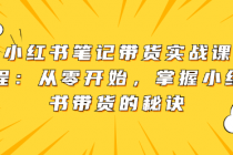 小红书笔记带货实战课程：从零开始，掌握小红书带货的...