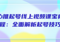 随心推起号线上视频课宝典课程：全面解析起号技巧