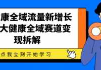 大健康全域流量新增长6.0 大健康全域赛道变现拆解
