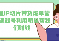 明星IP切片带货爆单营 快速起号利用明星帮我们赚钱