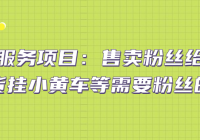 抖商服务项目：售卖粉丝给想要带货挂小黄车等需要粉丝的人