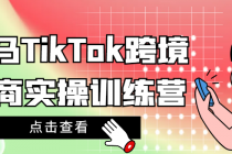 某马TikTok跨境电商实操训练营