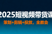 2025短视频带货课 策划 + 剪辑 + 投放，全教会