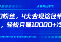 0文笔0粉丝，4大变现途径带你玩赚小红书，轻松月赚10000+！