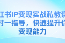 小红书IP变现实战私教课：一对一指导，快速提升你的变现...