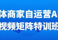 实体商家自运营AI短视频矩阵特训班