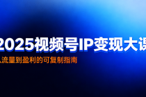 2025 视频号 IP 变现大课：从流量到盈利的可复制指南