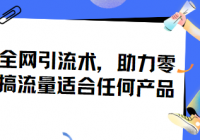 小淘全网引流术，助力零成本搞流量适合任何产品