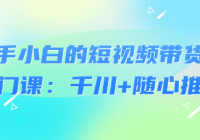 新手小白的短视频带货入门课：千川+随心推