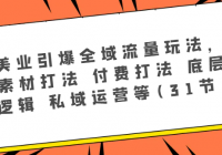 美业引爆全域流量玩法，素材打法 付费打法 底层逻辑 私域运营等(31节)